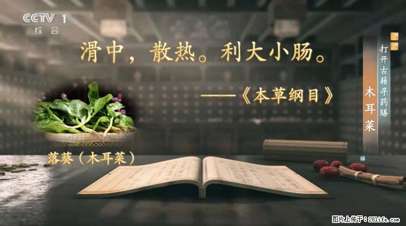 比牛奶补钙还厉害!凉血解毒、稳血糖...这菜冬天必吃,很多人却当草 - 荆州生活资讯 - 荆州28生活网 jingzhou.28life.com