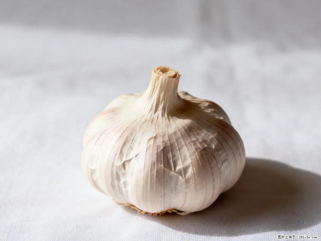 关于大蒜,除了“天然抗生素”,这4个谣言更该警惕! - 荆州生活资讯 - 荆州28生活网 jingzhou.28life.com
