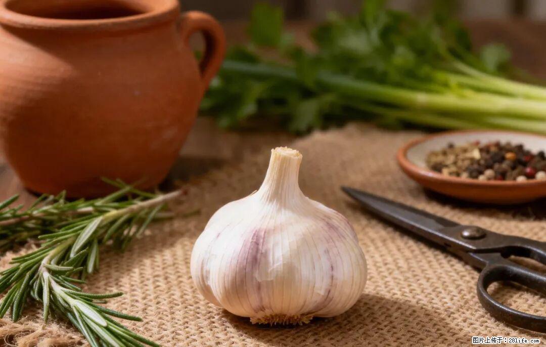 关于大蒜,除了“天然抗生素”,这4个谣言更该警惕! - 荆州生活资讯 - 荆州28生活网 jingzhou.28life.com