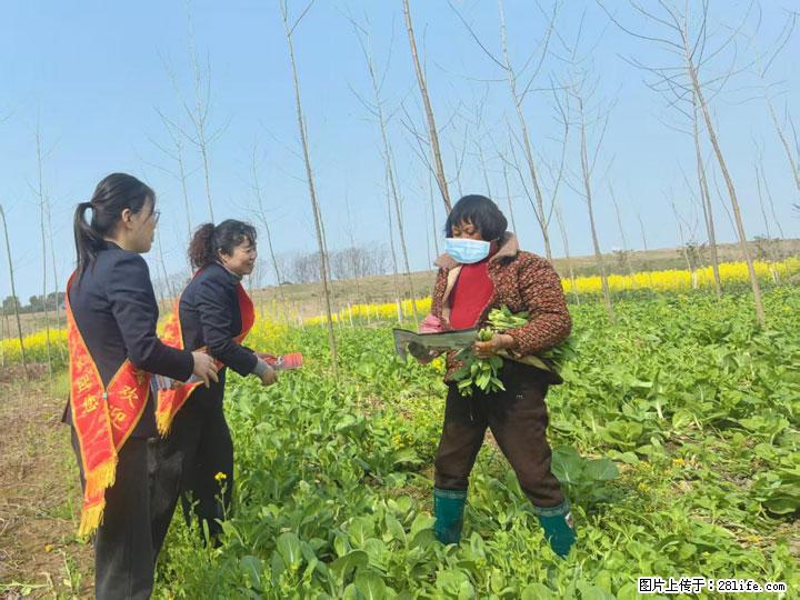 农银人寿荆州中支开展“3·15”金融消费者权益保护宣传活动 - 荆州生活资讯 - 荆州28生活网 jingzhou.28life.com