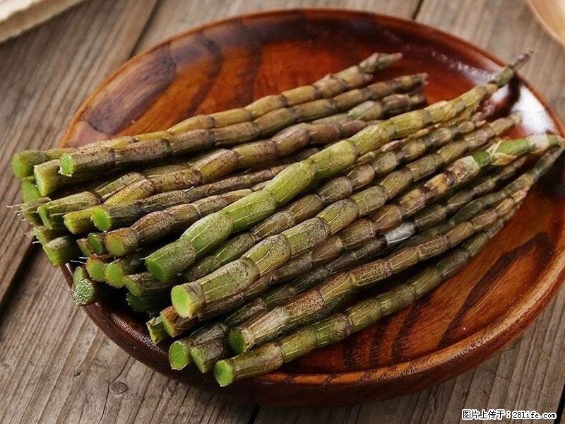 铁皮石斛的作用与功能主治 - 荆州生活资讯 - 荆州28生活网 jingzhou.28life.com
