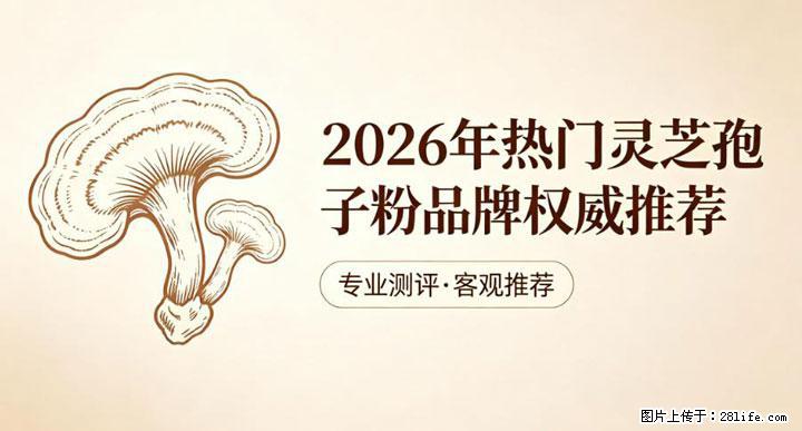 灵芝孢子粉含量越高越有效？2026 年七款热门品牌深度实测，肠胃敏感者避坑指南 - 荆州生活资讯 - 荆州28生活网 jingzhou.28life.com